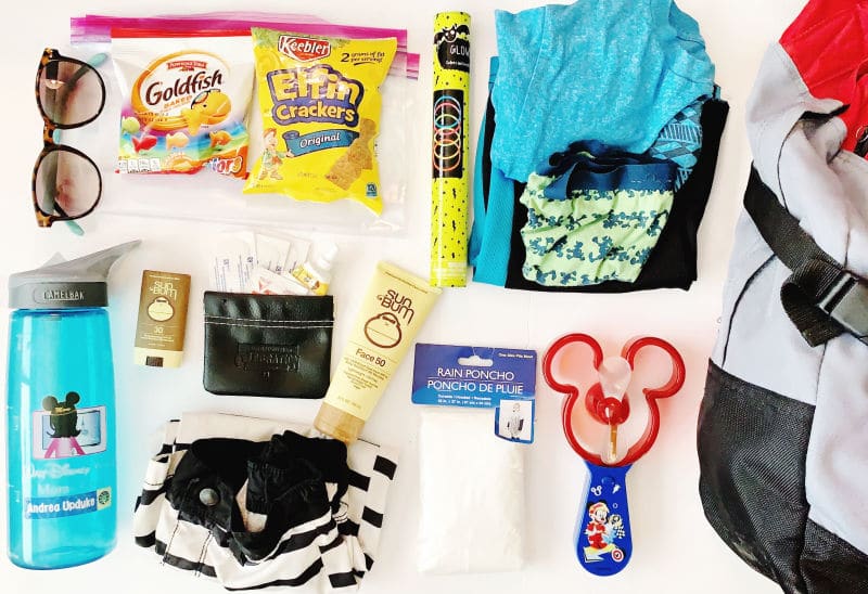 What to Bring in Your Disney World Backpack 2023 Theme Park Parents