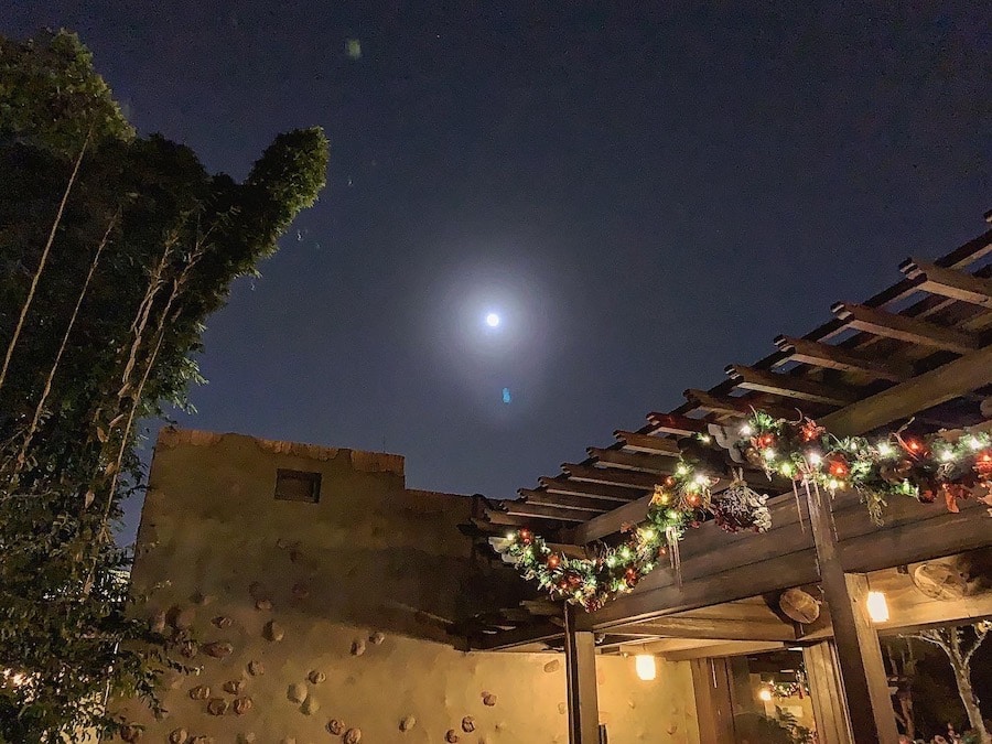 Animal Kingdom Holiday moon